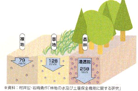 涵養水源的意思|水源涵養